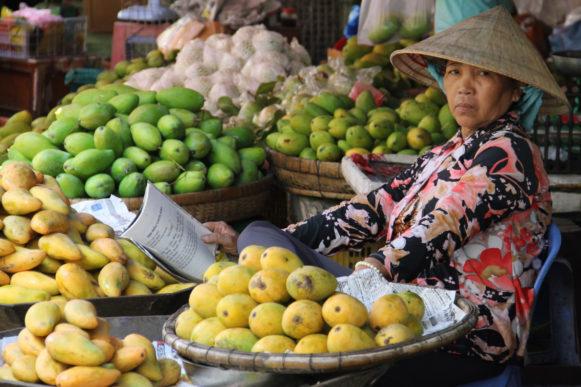 Pandaw RV Mekong Pandaw Excursions.jpg